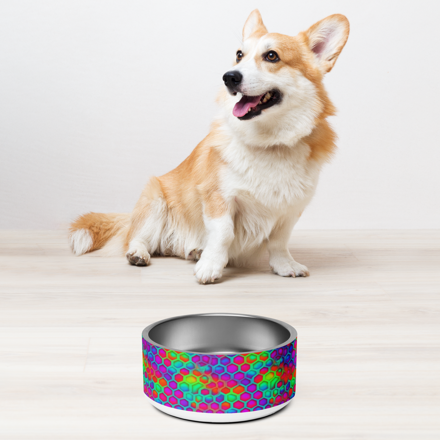 Color Hive Stainless Steel Pet Bowl