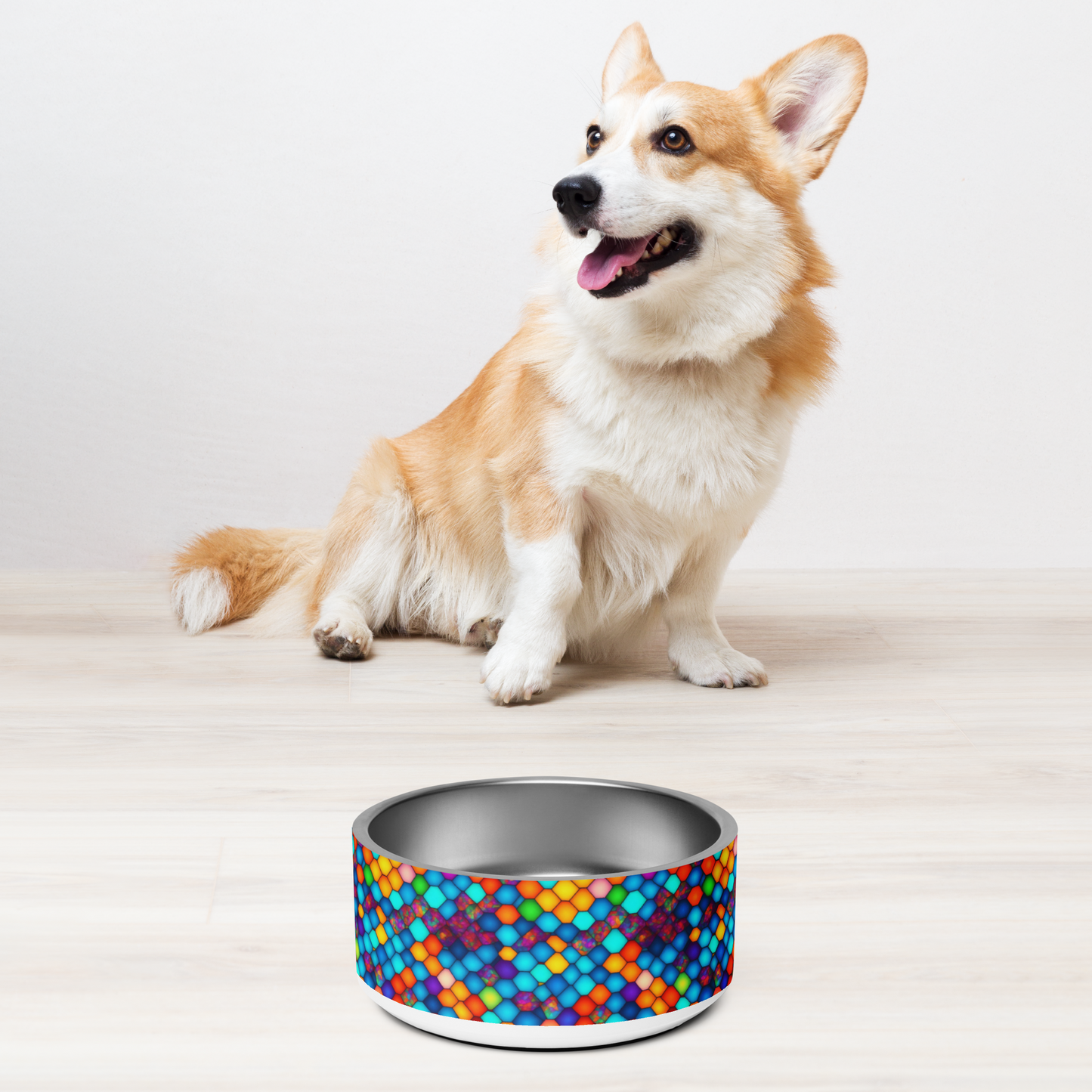 Hexa Spectrum Stainless Steel Pet Bowl