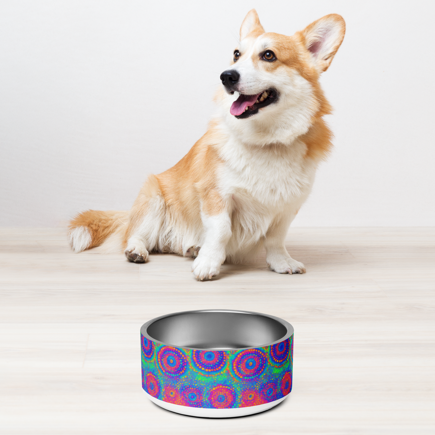 Poly Glow Stainless Steel Pet Bowl