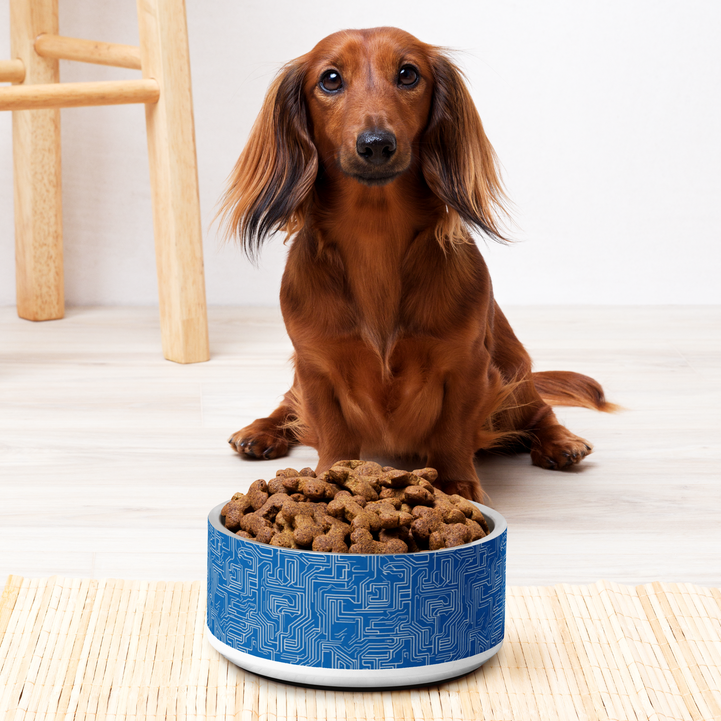 AI Array Stainless Steel Pet Bowl