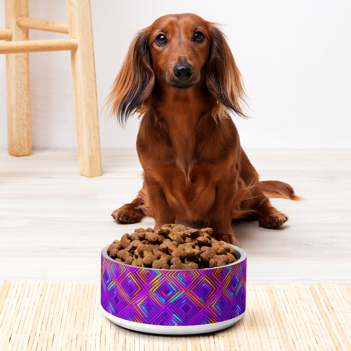 Color Gems Stainless Steel Pet Bowl