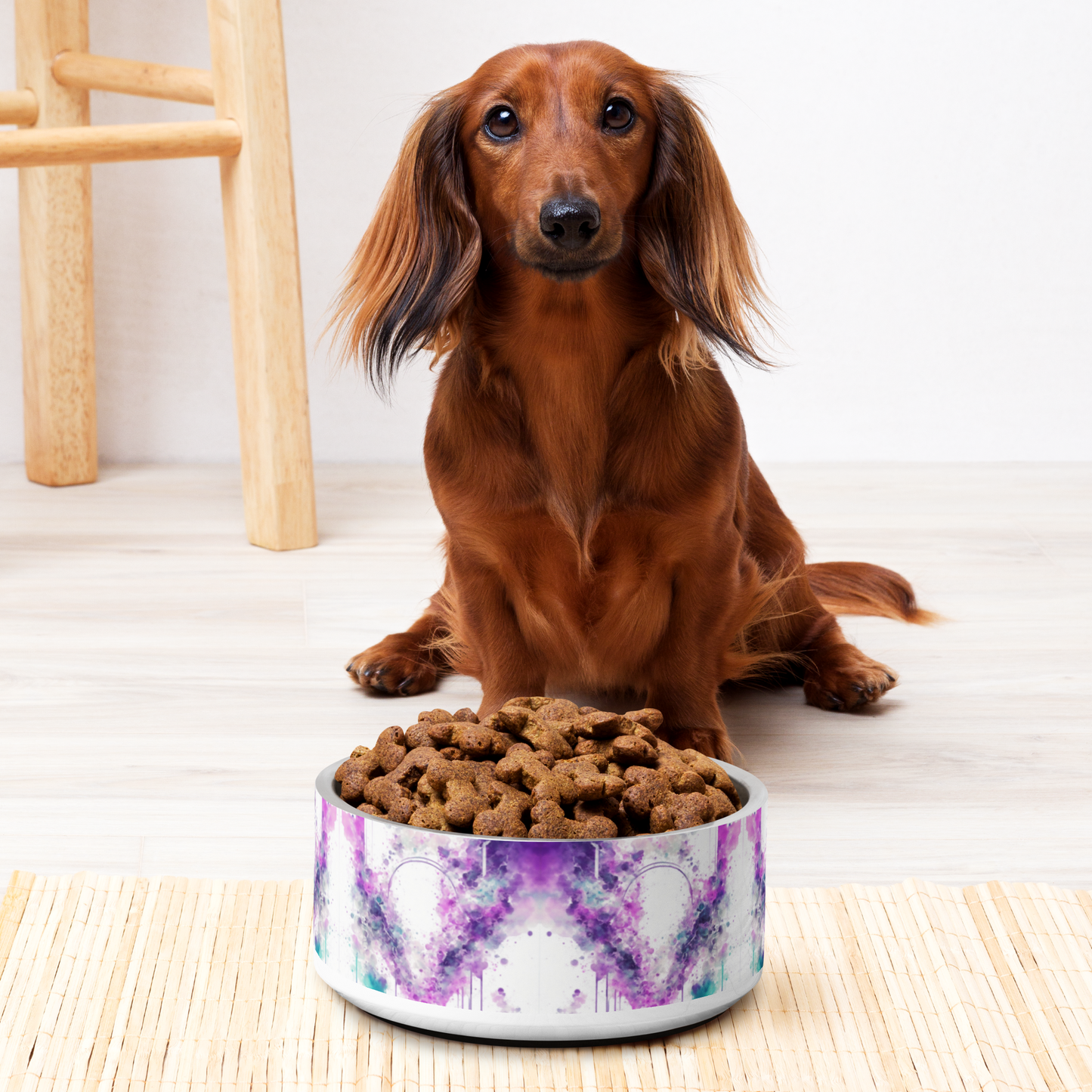 Creative Chaos Stainless Steel Pet Bowl