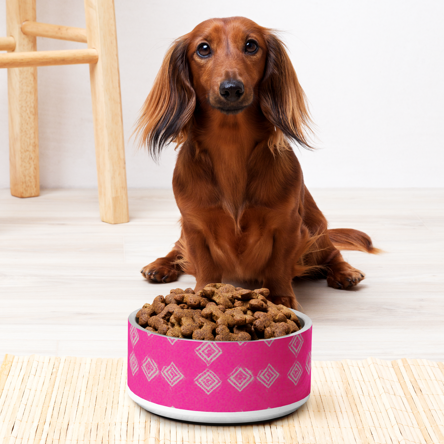 Brilliant Bliss Stainless Steel Pet Bowl