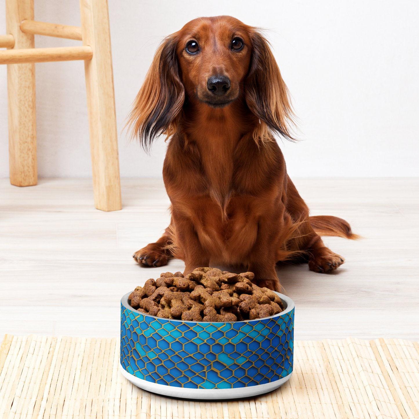 Hexagonal Harmony Stainless Steel Pet Bowl