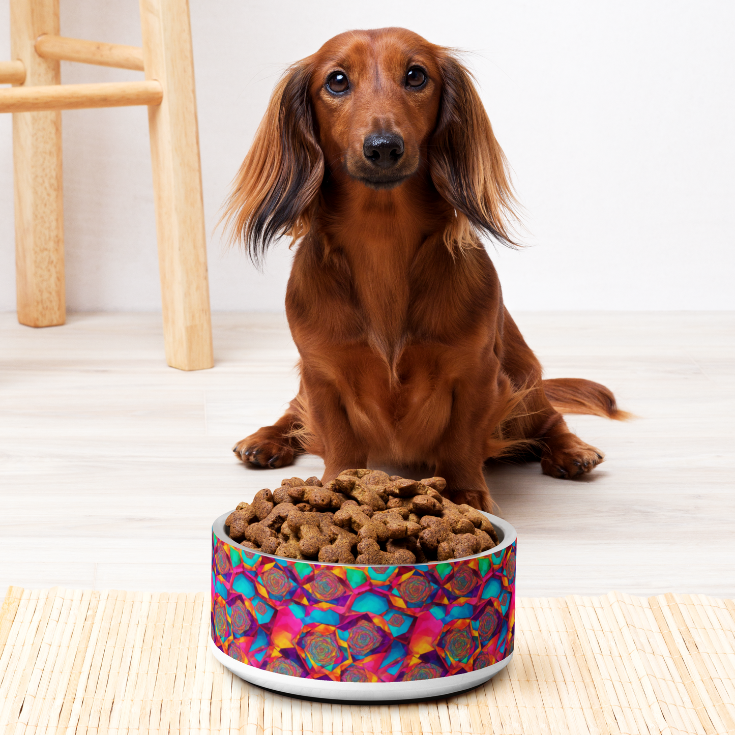 Hypnotic Harmony Stainless Steel Pet Bowl