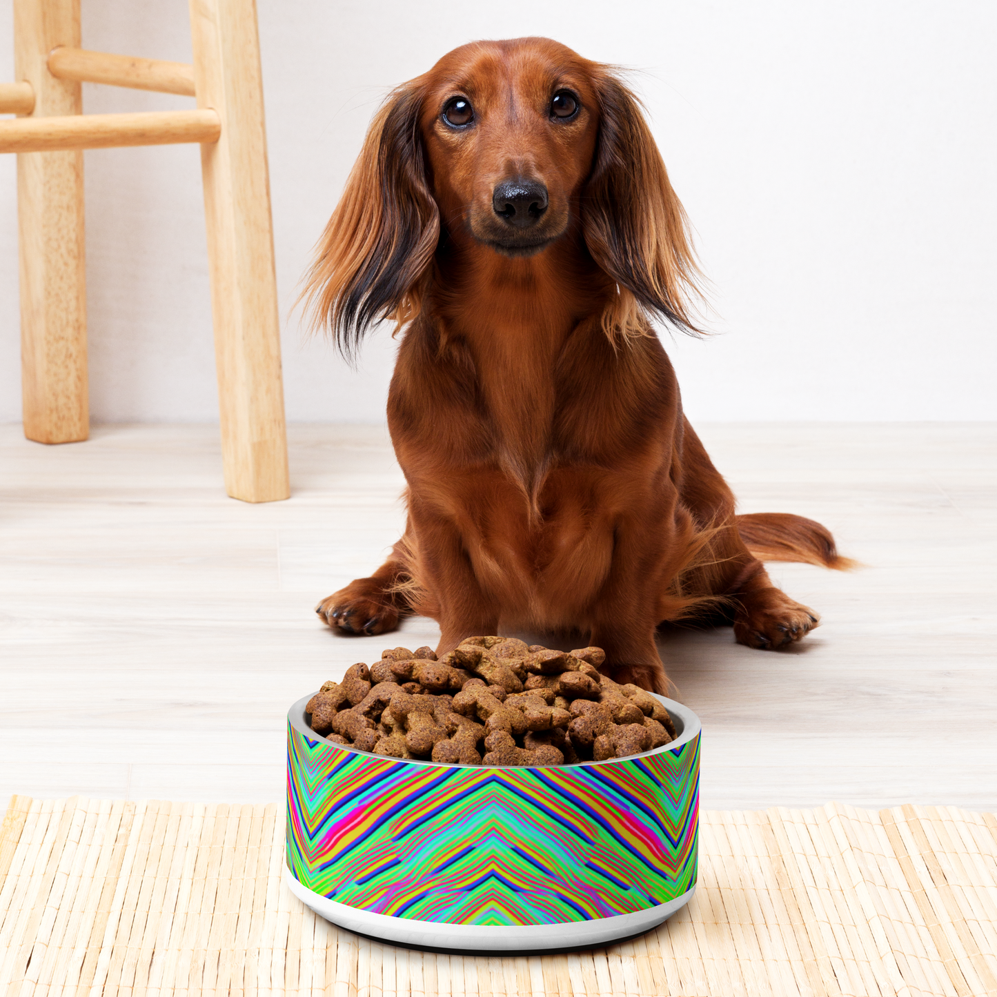 Neon Edges Stainless Steel Pet Bowl