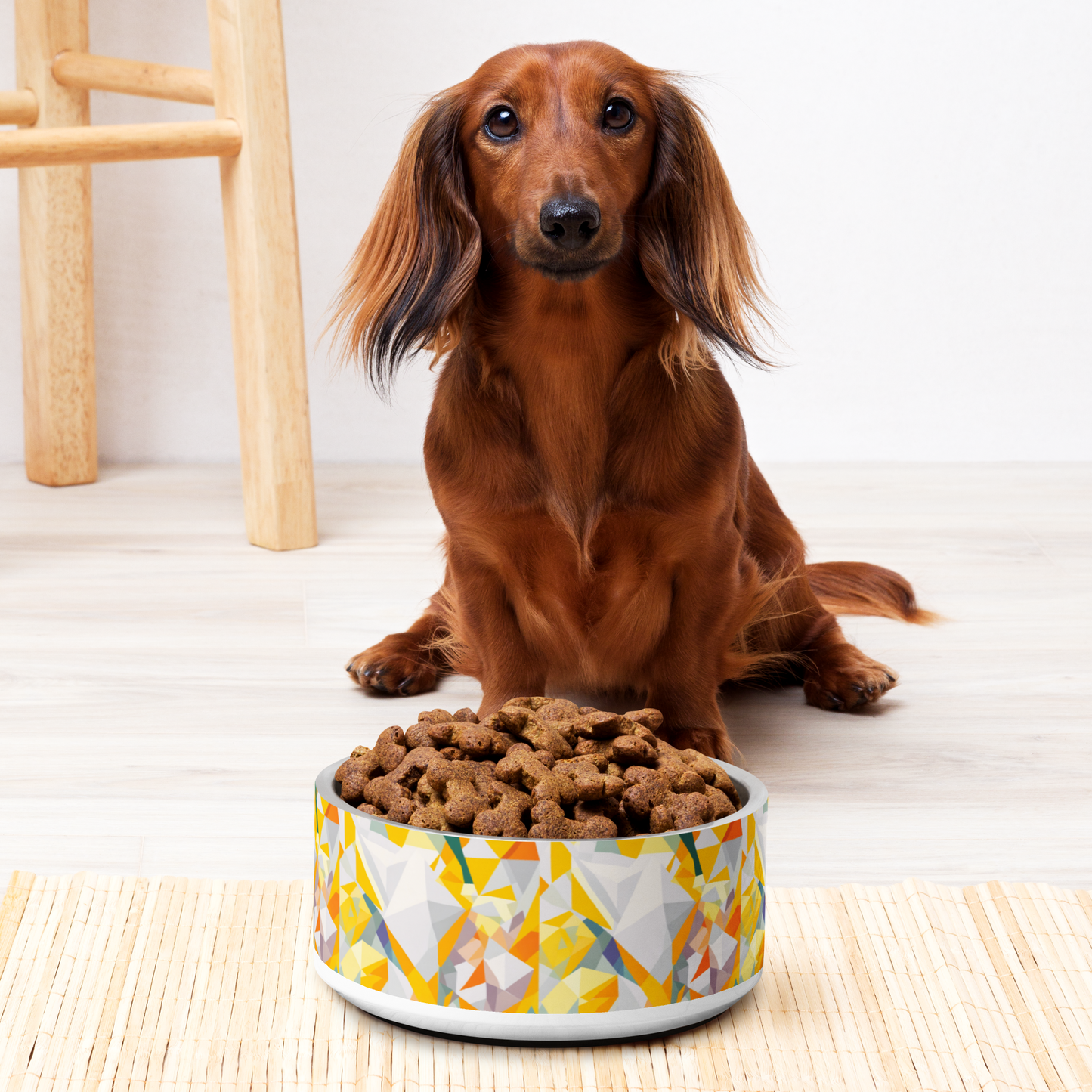 Polygon Prism Stainless Steel Pet Bowl