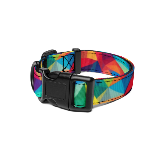 Neon Angles Pet Collar