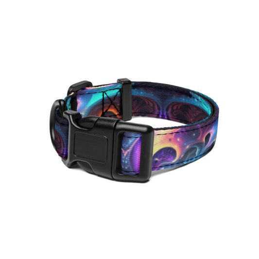 Neon Spiral Pet Collar