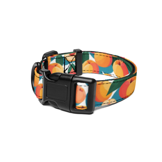 Peachy Keen Pet Collar