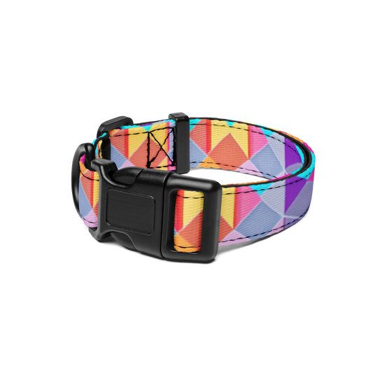 Prismatic Patterns Pet Collar