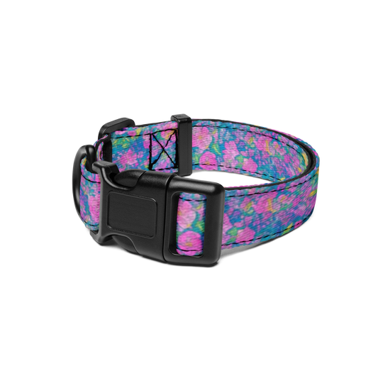 Rainbow Reflections Pet Collar