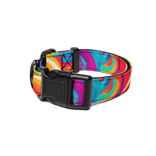 Rainbow Ripple Pet Collar