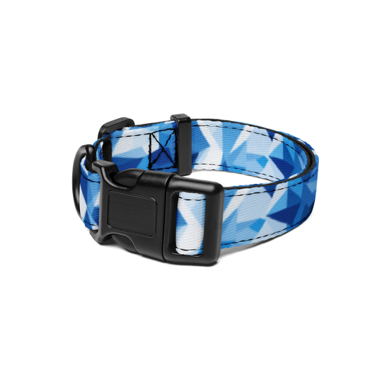 Shattered Spectrum Pet Collar